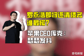 益阳要账公司更多成功案例详情